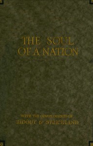 Cover of The Soul of a Nation