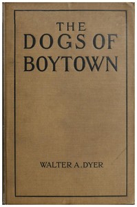 Cover of The Dogs of Boytown