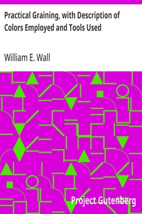 Cover of Practical Graining, with Description of Colors Employed and Tools Used