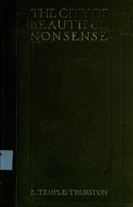Cover of The city of beautiful nonsense