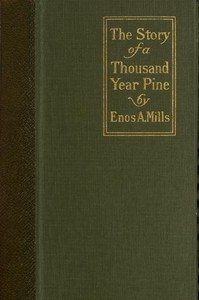 Cover of The Story of a Thousand-Year Pine