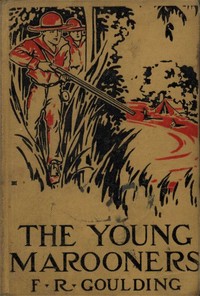 Cover of The Young Marooners on the Florida Coast