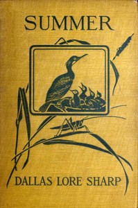 Cover of Summer