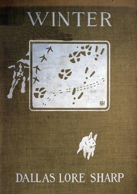 Cover of Winter