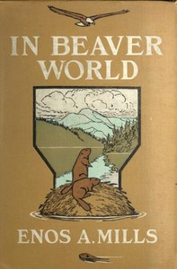Cover of In Beaver World