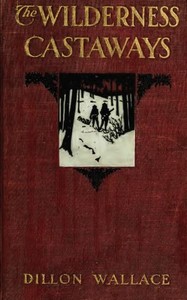 Cover of The Wilderness Castaways