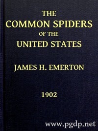 Cover of The Common Spiders of the United States