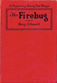 Cover of The Firebug