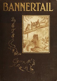 Cover of Bannertail: The Story of a Graysquirrel