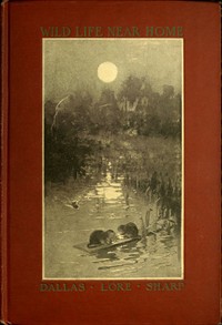 Cover of Wild Life Near Home