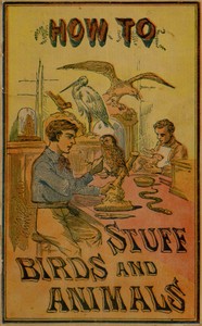 Cover of How to stuff birds and animals : $b A valuable book giving instruction in collecting, preparing, mounting, and preserving birds, animals, and insects