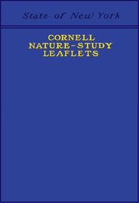 Cover of Cornell Nature-Study Leaflets Being a selection, with revision, from the teachers' leaflets, home nature-study lessons, junior naturalist monthlies and other publications from the College of Agriculture, Cornell University, Ithaca, N.Y., 1896-1904