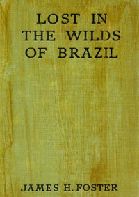 Cover of Lost in the Wilds of Brazil