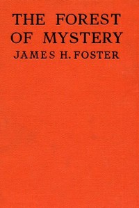 Cover of The Forest of Mystery