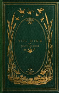 Cover of The Bird