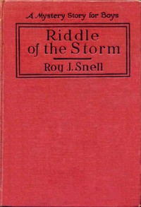Cover of Riddle of the Storm A Mystery Story for Boys
