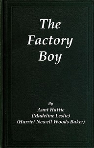 Cover of The Factory Boy