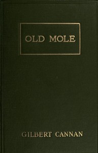 Cover of Old Mole Being the Surprising Adventures in England of Herbert Jocelyn Beenham, M.A., Sometime Sixth-Form Master at Thrigsby Grammar School in the County of Lancaster