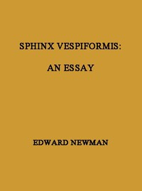 Cover of Sphinx Vespiformis: An Essay