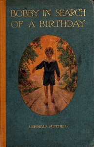 Cover of Bobby in Search of a Birthday