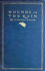 Cover of Wounds in the rain: War stories