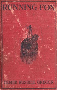 Cover of Running Fox