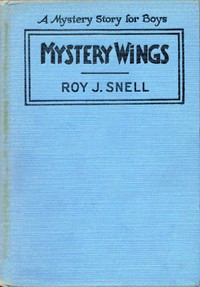 Cover of Mystery Wings A Mystery Story for Boys