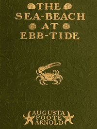 Cover of The Sea-beach at Ebb-tide A Guide to the Study of the Seaweeds and the Lower Animal Life Found Between Tide-marks