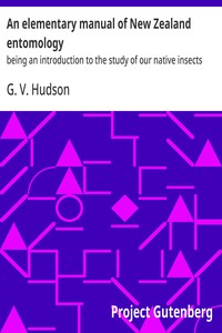Cover of An elementary manual of New Zealand entomology : $b being an introduction to the study of our native insects