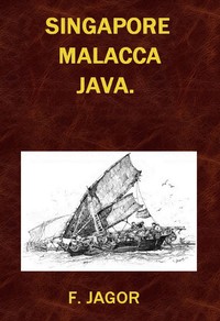 Cover of Singapore, Malacca, Java. Reiseskizzen von F. Jagor.