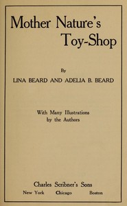 Cover of Mother Nature's Toy-Shop