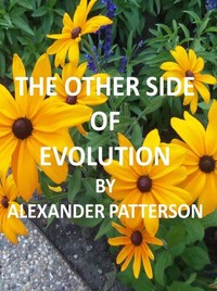 Cover of The Other Side of Evolution: Its Effects and Fallacy