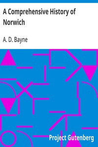 Cover of A Comprehensive History of Norwich