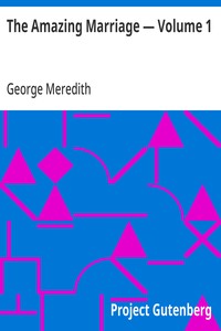 Cover of The Amazing Marriage — Volume 1