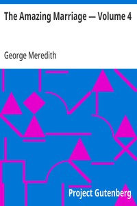 Cover of The Amazing Marriage — Volume 4