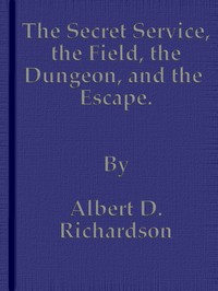 Cover of The Secret Service, the Field, the Dungeon, and the Escape