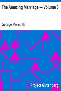 Cover of The Amazing Marriage — Volume 5