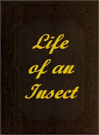 Cover of The Life of an Insect being a history of the changes of insects from the egg to the perfect being.