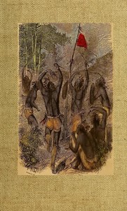 Cover of The Indian: On the Battle-Field and in the Wigwam