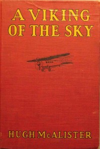 Cover of A Viking of the Sky: A Story of a Boy Who Gained Success in Aeronautics