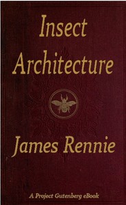 Cover of Insect Architecture