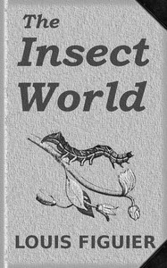 Cover of The Insect World Being a Popular Account of the Orders of Insects; Together with a Description of the Habits and Economy of Some of the Most Interesting Species