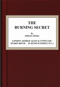 Cover of The Burning Secret