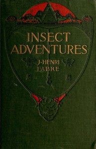 Cover of Insect Adventures