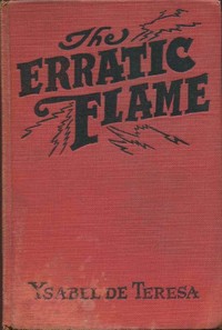 Cover of The erratic flame