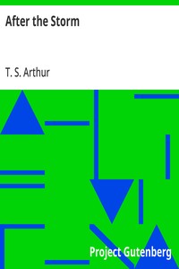 Cover of After the Storm