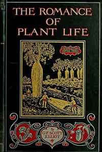 Cover of The Romance of Plant Life Interesting Descriptions of the Strange and Curious in the Plant World