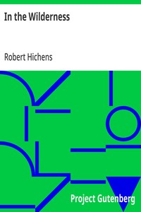 Cover of In the Wilderness