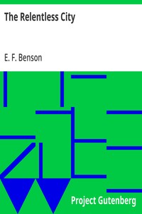 Cover of The Relentless City