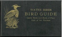 Cover of Bird Guide: Water Birds, Game Birds, and Birds of Prey East of the Rockies